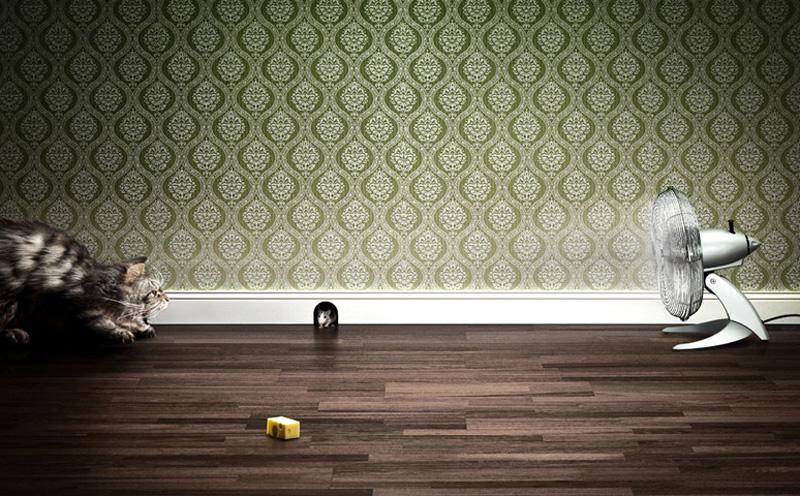 Photographers Assistants 711rent Com