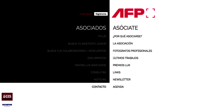 Asociación de Fotógrafos Profesionales de España (AFP)